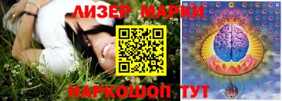 2c-b Кингисепп