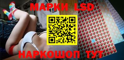 2c-b Кингисепп
