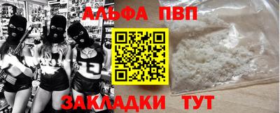 2c-b Кингисепп