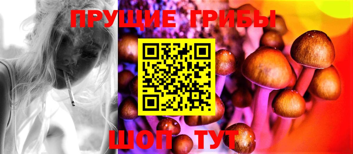 Галлюциногенные грибы мухоморы Кудрово